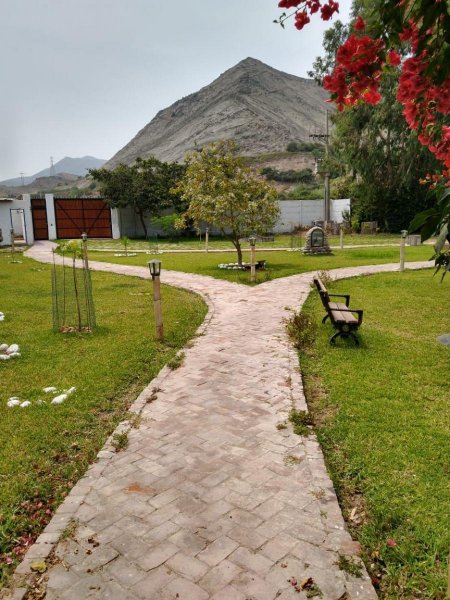 Agricola en Venta en  Mala, Canete