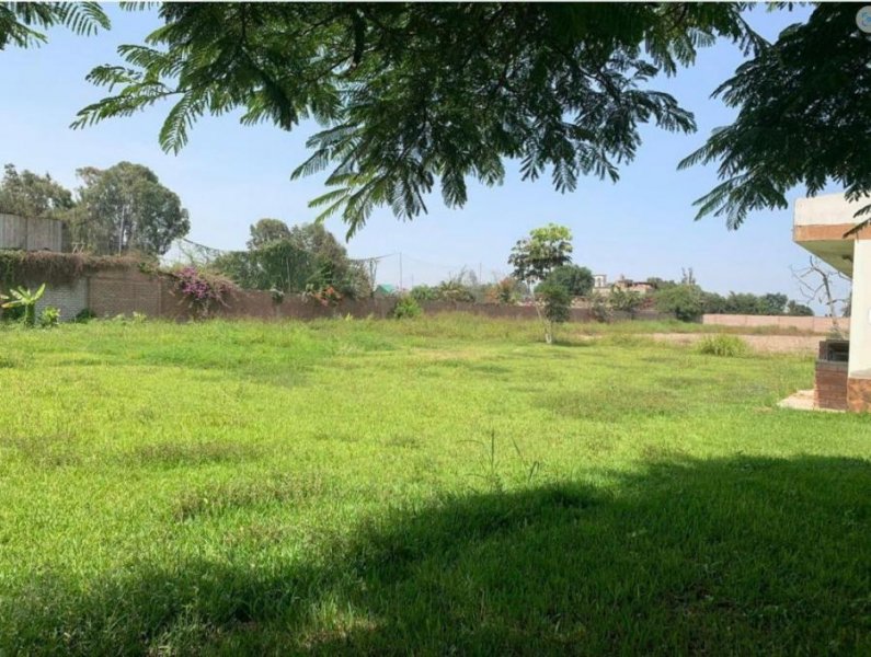 Agricola en Venta en Pachacamac Pachacamac, Lima