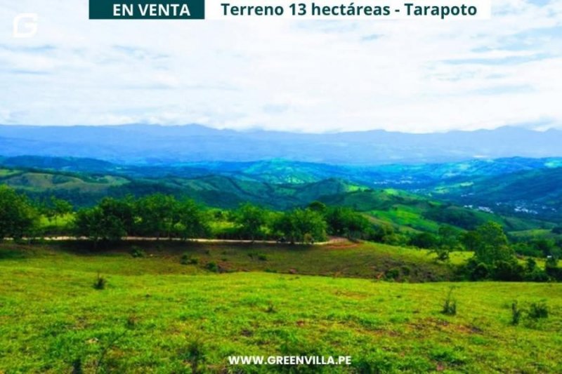 Terreno en Venta en Zapatero zona ganadera Tarapoto, San Martin