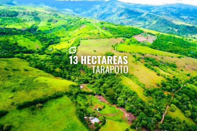 Terreno en Venta en Zapatero zona ganadera Tarapoto, San Martin