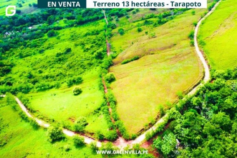 Terreno en Venta en Zapatero zona ganadera Tarapoto, San Martin