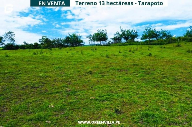 Terreno en Venta en Zapatero Tarapoto, San Martin