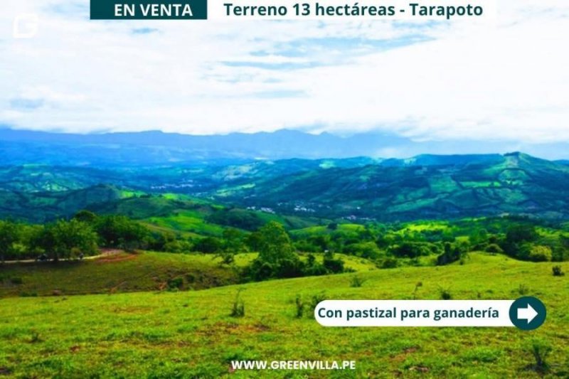 Terreno en Venta en Zapatero Tarapoto, San Martin