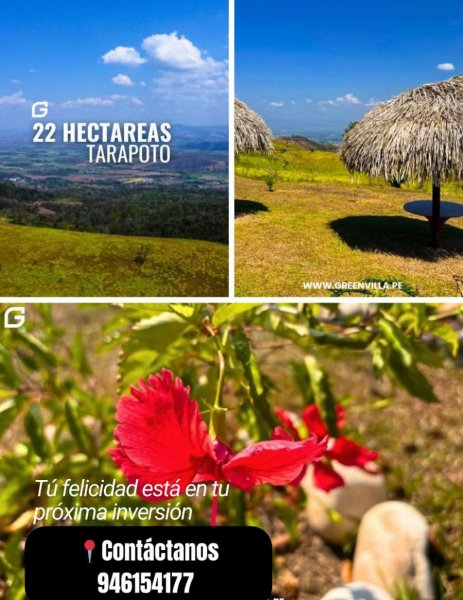 Terreno en Venta en Centro poblado aucaloma Tarapoto, San Martin