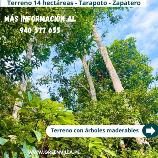 ???? ¡EN VENTA! ¡14 HECTÁREAS EN TARAPOTO! ????