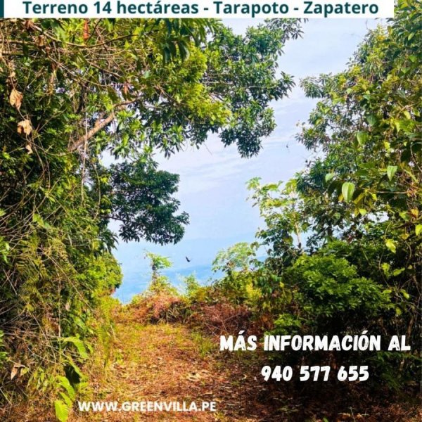 ???? ¡EN VENTA! ¡14 HECTÁREAS EN TARAPOTO! ????
