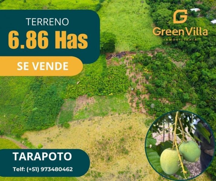 Terreno en Venta en Zapatero Tarapoto, San Martin