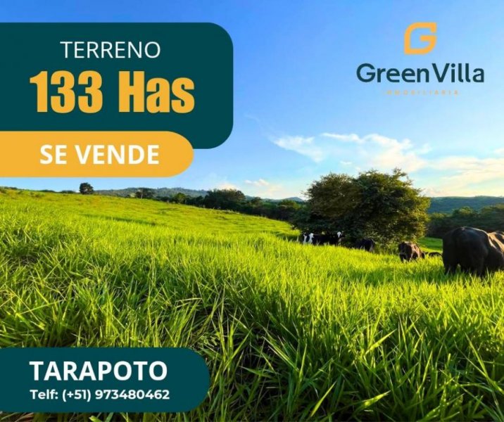 Terreno en Venta en  Tarapoto, San Martin