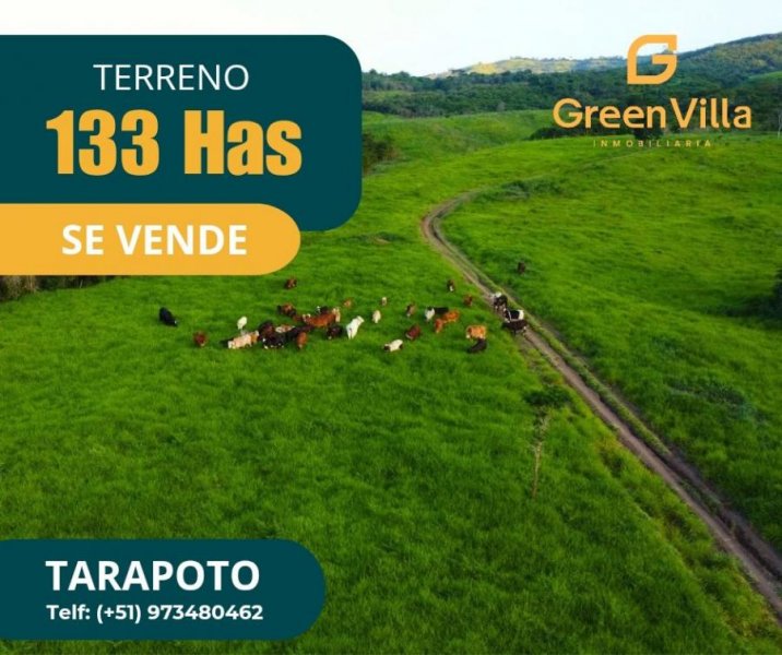 Terreno en Venta en  Tarapoto, San Martin