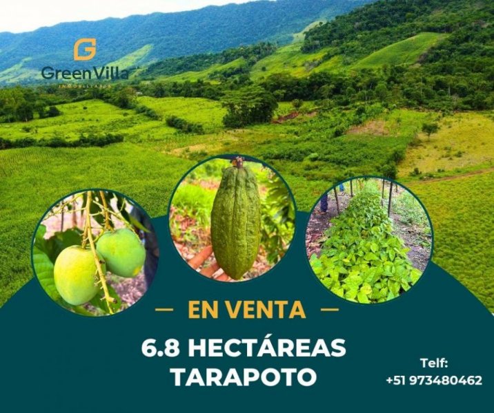 Terreno en Venta en  Tarapoto, San Martin