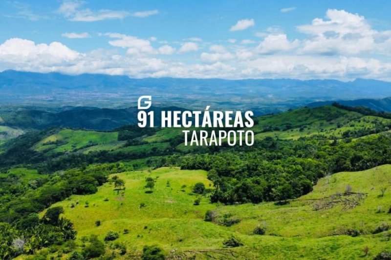 Terreno en Venta en Tarapoto Tarapoto, San Martin