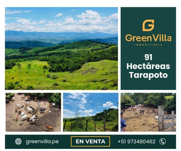 Terreno en Venta en Cuñumbuqui Tarapoto, San Martin