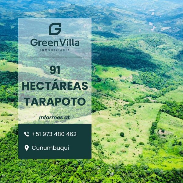 Terreno en Venta en Cuñumbuqui Tarapoto, San Martin