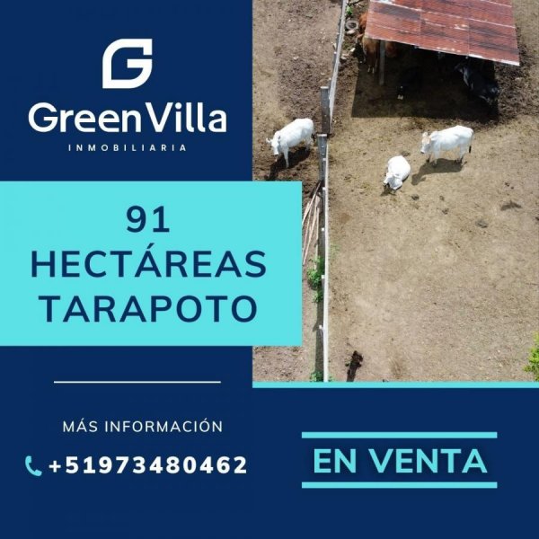Terreno en Venta en Cuñumbuqui Tarapoto, San Martin