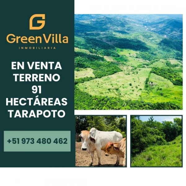 Terreno en Venta en Cuñumbuqui Tarapoto, San Martin