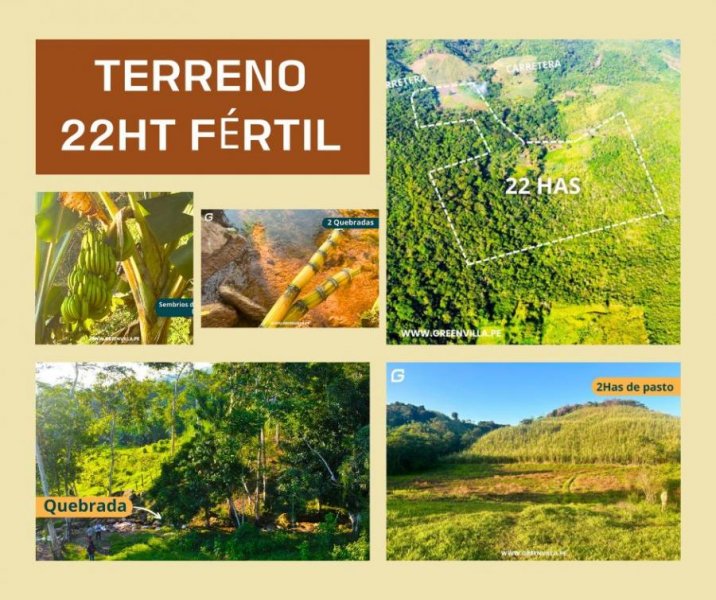 Terreno en Venta en  Tarapoto, San Martin