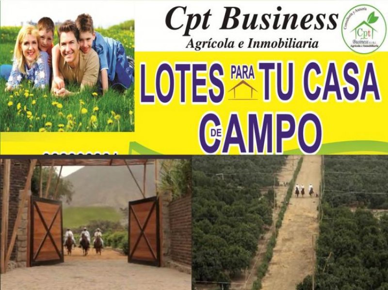 Foto Terreno en Venta en Huaral, Huaral - U$D 45 - TEV24516 - BienesOnLine