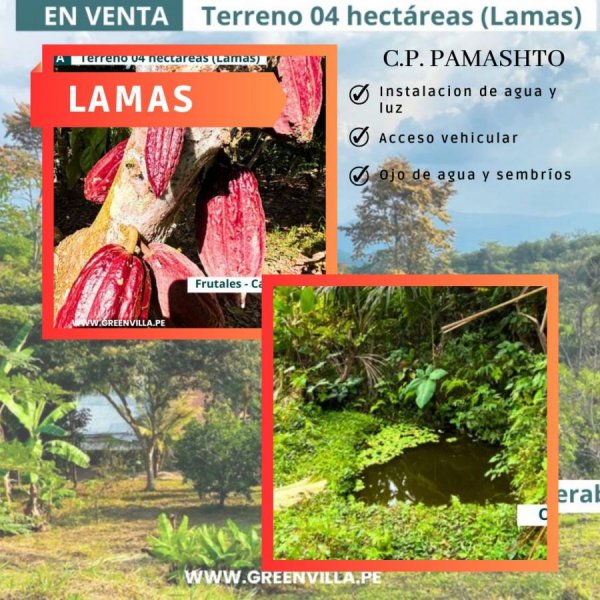 Foto Terreno en Venta en Tarapoto, Tarapoto, San Martin - 4 hectareas - S/. 330.000 - TEV40220 - BienesOnLine