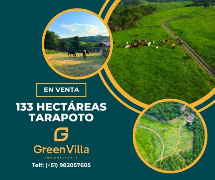 Terreno en Venta en  Tarapoto, San Martin