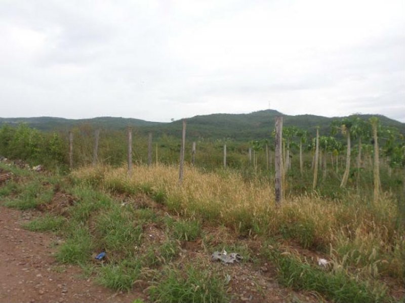 Foto Terreno en Venta en Tarapoto, San Martin - 2 hectareas - S/. 140.000 - TEV16988 - BienesOnLine