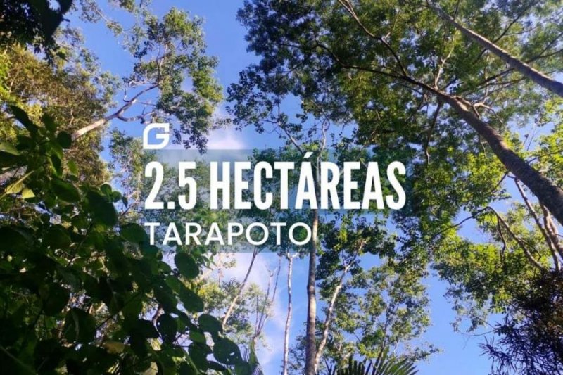 Foto Proyecto en Venta en San Martin, Tarapoto, San Martin - S/. 299.000 - PRV36475 - BienesOnLine