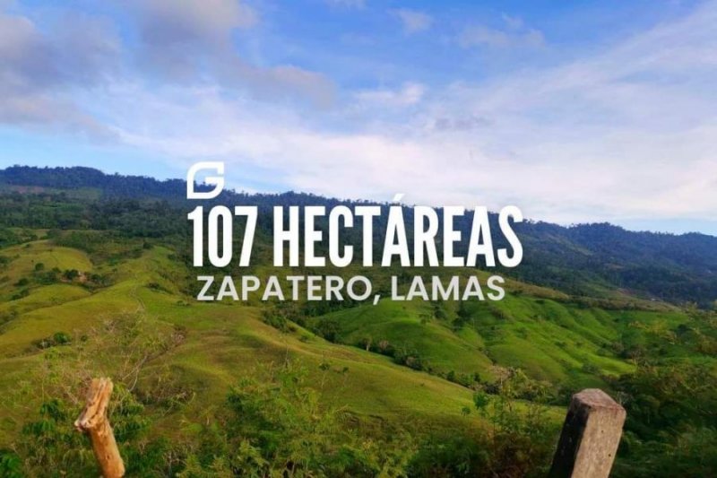 Foto Terreno en Venta en Zapatero - lamas, Tarapoto, San Martin - S/. 1.070.000 - TEV36543 - BienesOnLine
