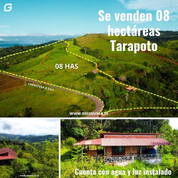 ?EN VENTA 08 HECTÁREAS TARAPOTO?