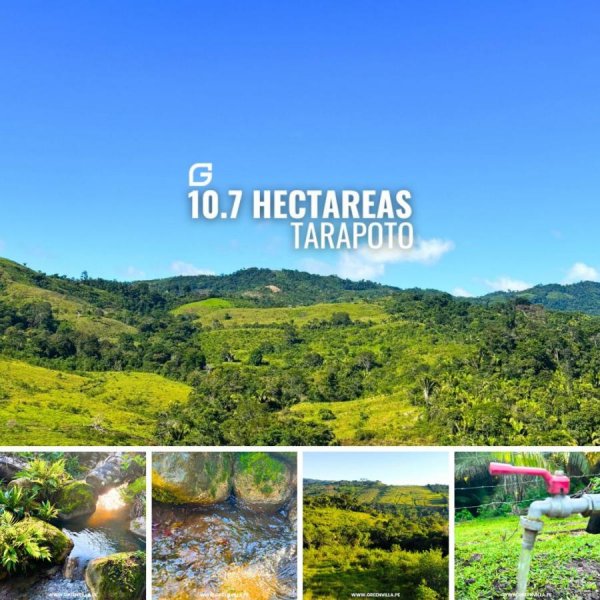 Foto Terreno en Venta en Rumisapa, Lamas - S/. 250.000 - TEV39597 - BienesOnLine