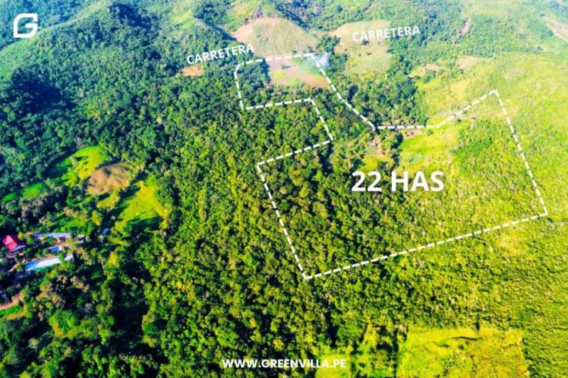 Agricola en Venta en  Shanao, Lamas