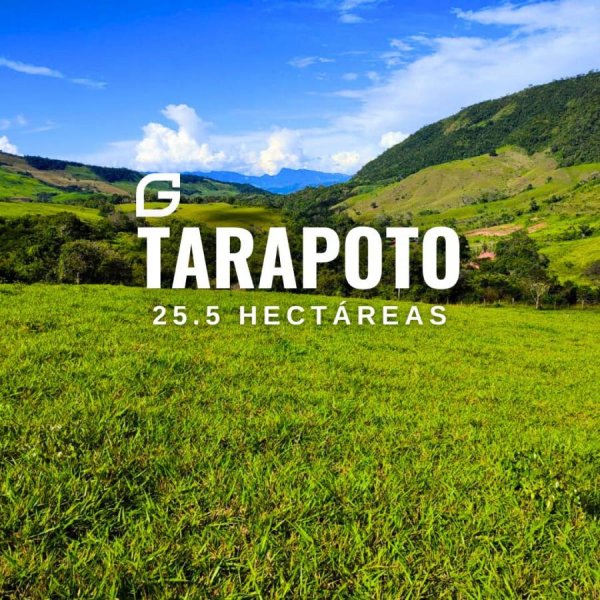 Agricola en Venta en  Juan Guerra, San Martin