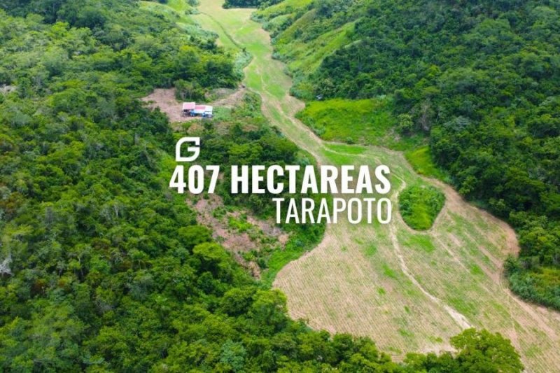 Agricola en Venta en  Juan Guerra, San Martin
