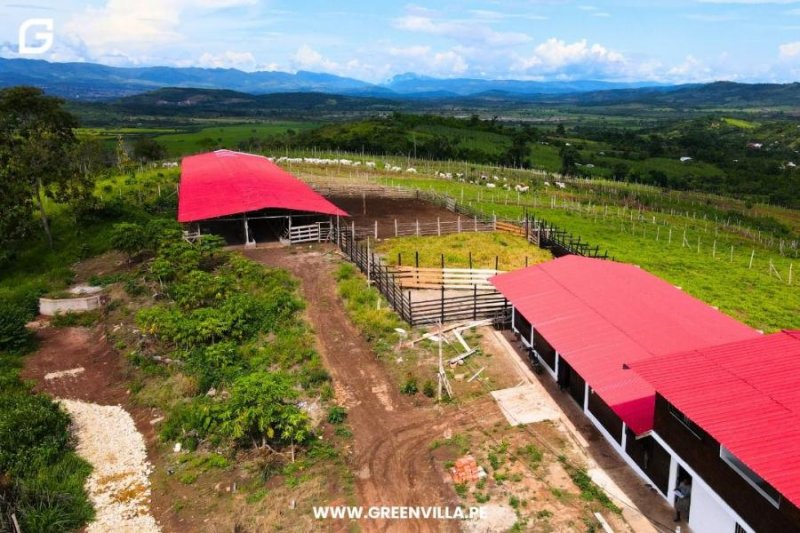 🚨VENDO19.8 HECTÁREAS TARAPOTO-CHURUZAPA🚨