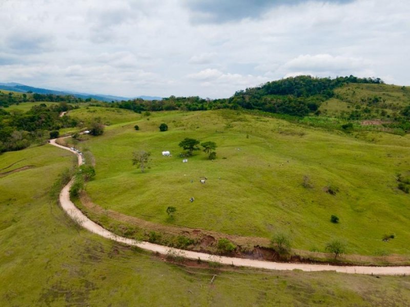 Condominio en Alquiler por temporada en Zapatero Tarapoto, San Martin