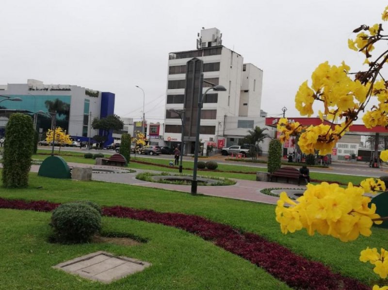 Oficina en Alquiler en San Borja San Borja, Lima