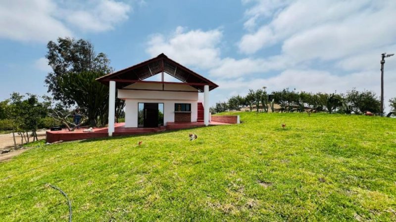 Foto Casa en Alojamiento en Huaura, La Buena Tierra Farm, Huaura, PE, 15135, Lima - U$D 100 - CAA38545 - BienesOnLine