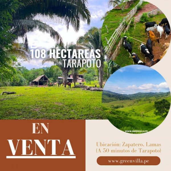 Terreno en Venta en  Tarapoto, San Martin