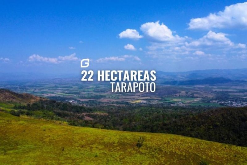 ????EN VENTA HERMOSO TERRENO DE 22 HECTAREAS EN AUCALOMA TARAPOTO????
