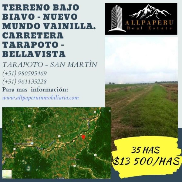 Foto Terreno en Venta en Bajo Biavo, Bellavista - 35 hectareas - U$D 13.500 - TEV31337 - BienesOnLine