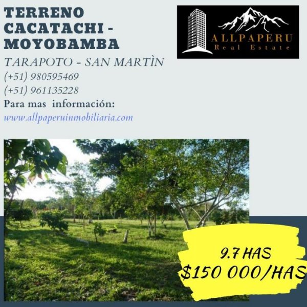 Foto Terreno en Venta en Cacatachi, San Martin - 9 hectareas - U$D 150.000 - TEV31341 - BienesOnLine