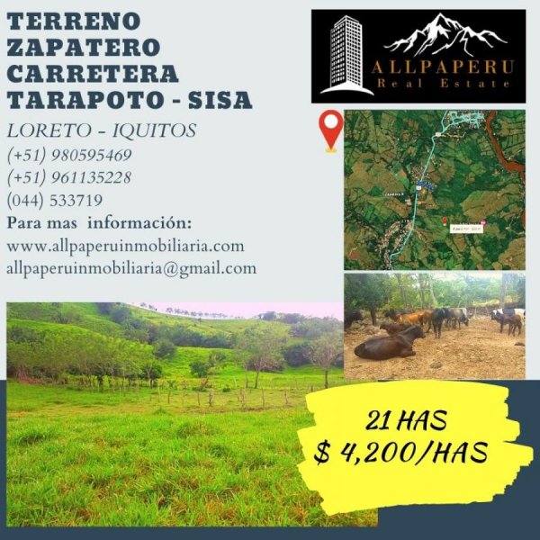 Foto Terreno en Venta en Zapatero, Lamas - 21 hectareas - U$D 4.200 - TEV31403 - BienesOnLine