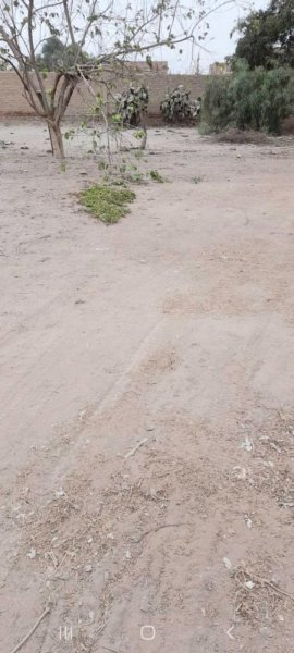 EXCELENTE TERRENO PTE PIEDRA IDEAL PROYECTO INMOBILIARIO????