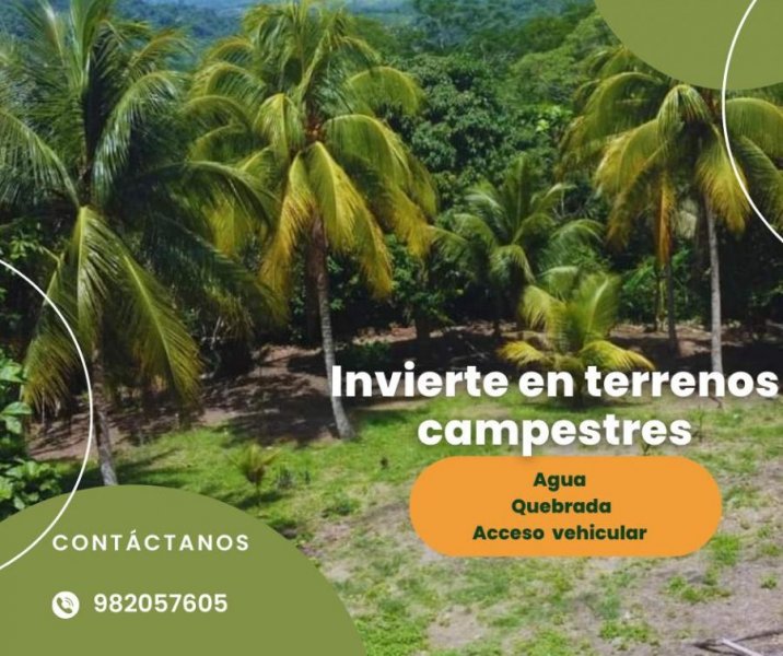Foto Terreno en Venta en Tarapoto, Tarapoto, San Martin - S/. 670.000 - TEV38519 - BienesOnLine