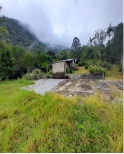Agricola en Venta en SECTOR LA PERLA, DISTRITO DE SAN RAMÓN San Ramon, Chanchamayo