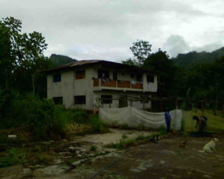 Agricola en Venta en  San Luis De Shuaro, Chanchamayo