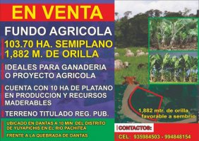 Agricola en Venta en Yuyapichis Yuyapichis, Puerto Inca