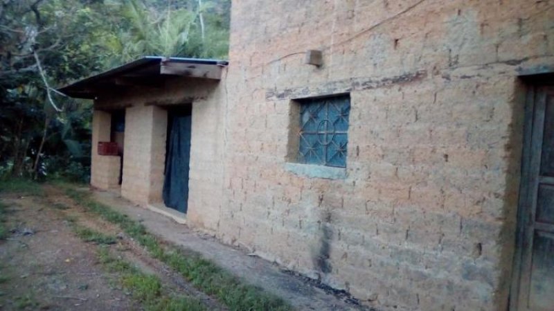 Foto Agricola en Venta en ECHARATE, Echarate, La Convencion - S/. 50.000 - AGV26084 - BienesOnLine