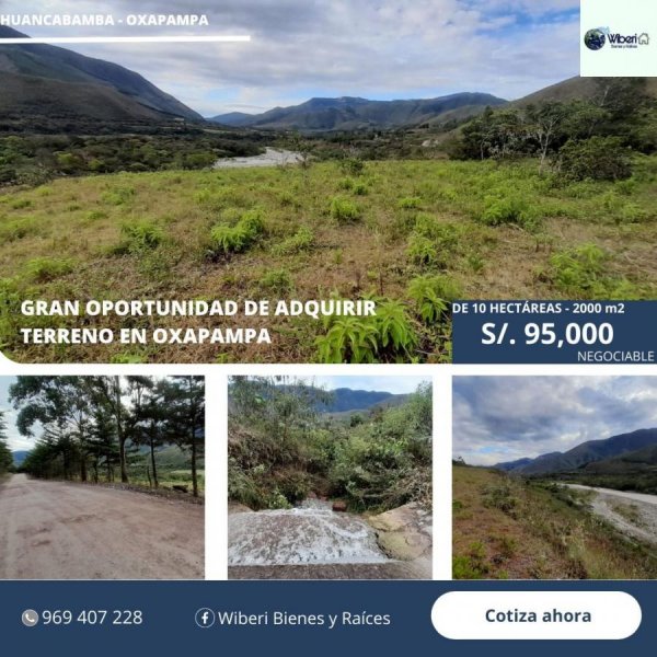 Foto Terreno en Venta en Departamento de Pasco, Oxapampa - S/. 95 - TEV37163 - BienesOnLine