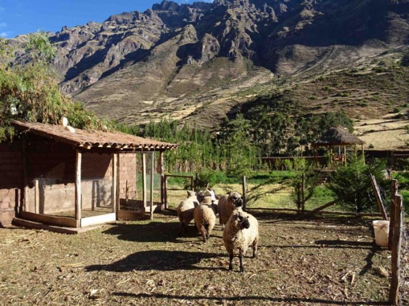 Terreno en Venta en  San Salvador, Calca
