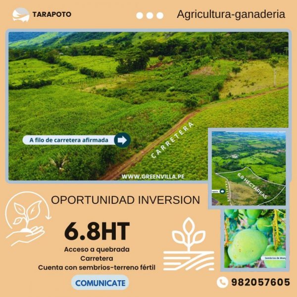Terreno en Venta en  Tarapoto, San Martin