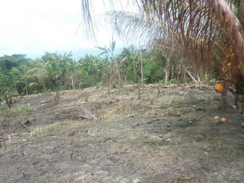 Foto Terreno en Venta en Tarapoto, San Martin - S/. 180.000 - TEV16976 - BienesOnLine